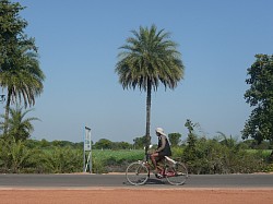 En el camino - India