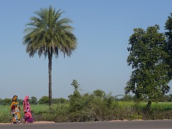 En el camino - India